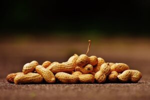 selective focus of shelled peanuts